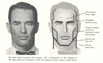 From the Famous Artists' School course materials. "The male head is square and angular, with a strong jaw."